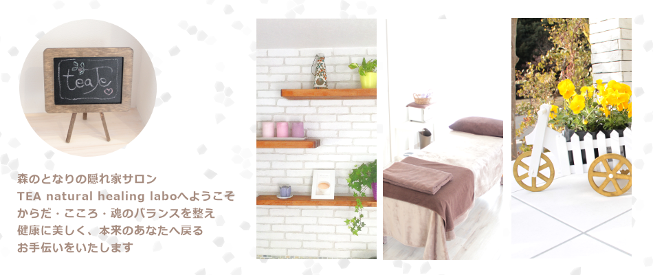 整体サロン画像